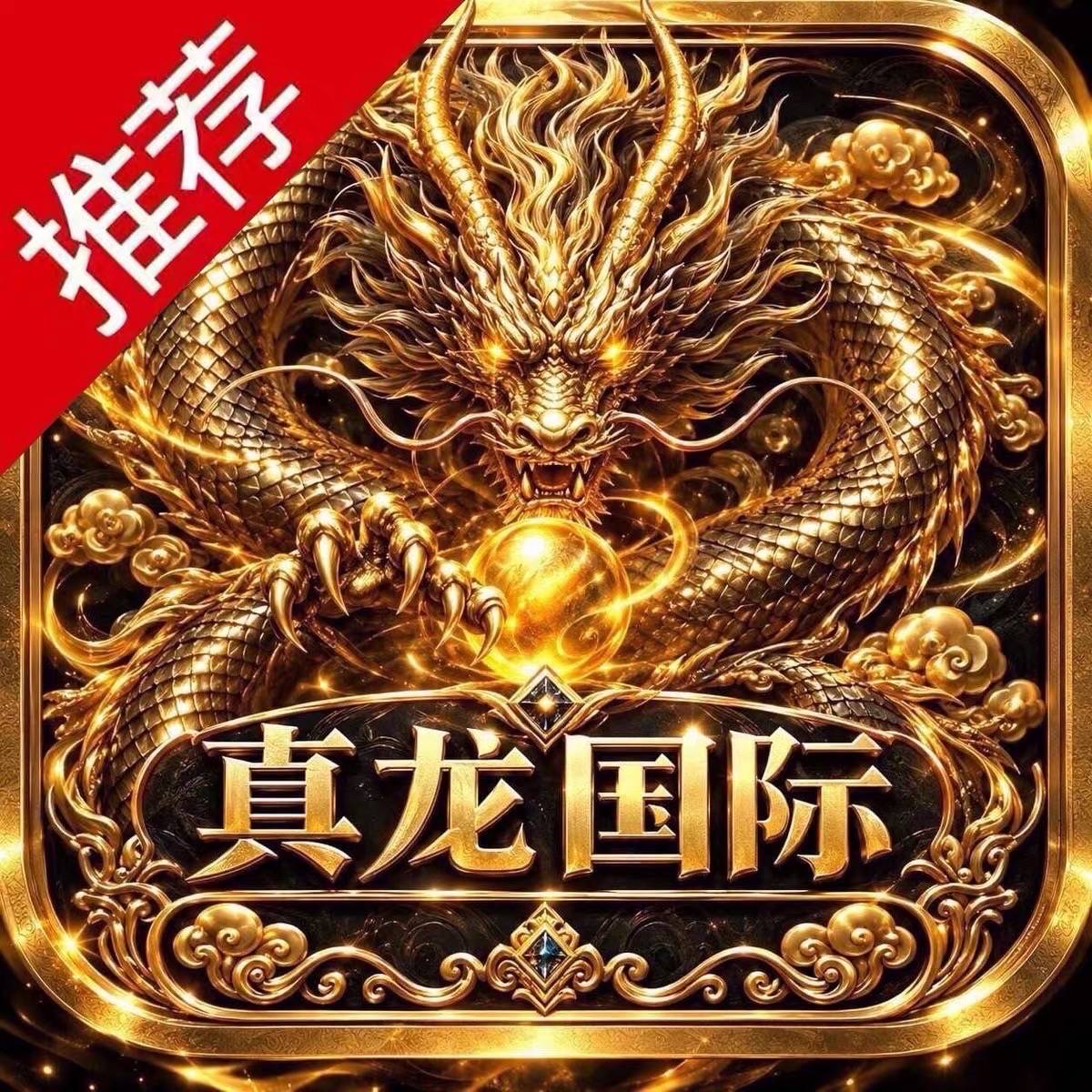 真龙新平台